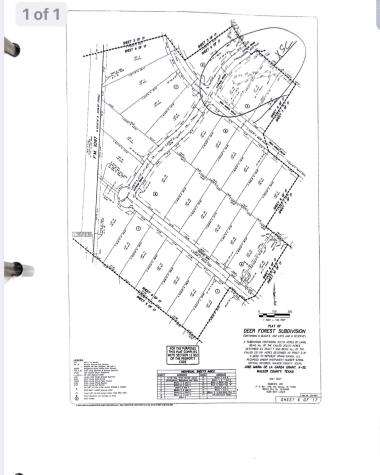 200 Iron Horse Road Willis TX 77378