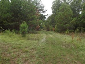 948 Fm 3277 Livingston TX 77351