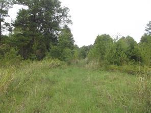 948 Fm 3277 Livingston TX 77351