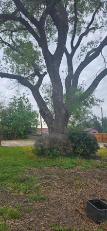 959 Greatwood Drive Houston TX 77013