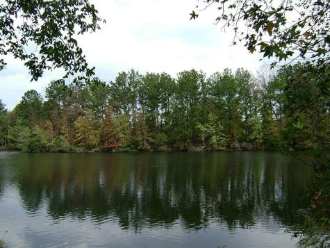 47 Deer Ridge Cleveland TX 77327