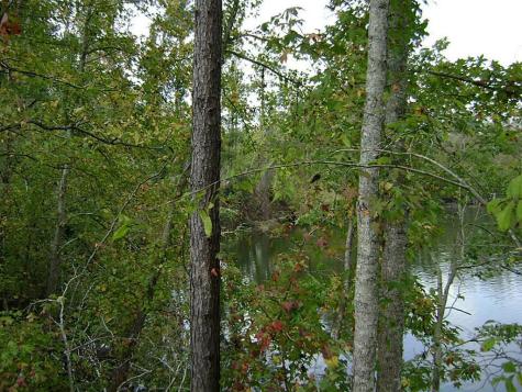 47 Deer Ridge Cleveland TX 77327