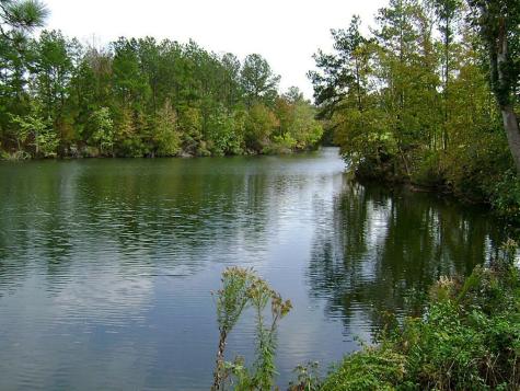 47 Deer Ridge Cleveland TX 77327