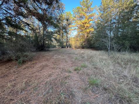 700 Pr 8160 Lovelady TX 75851
