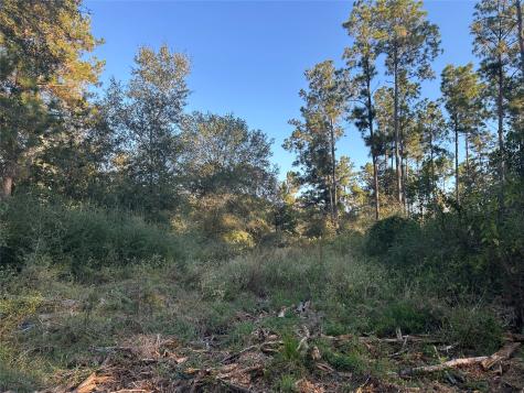 700 Pr 8160 Lovelady TX 75851