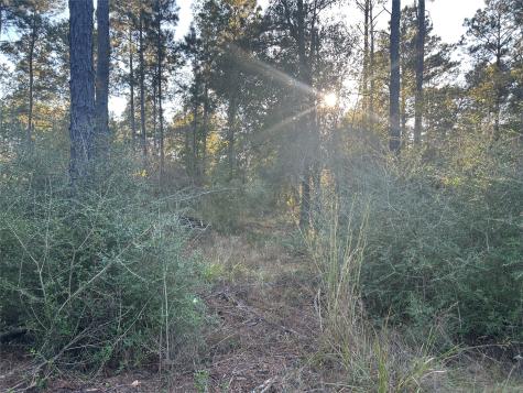 700 Pr 8160 Lovelady TX 75851