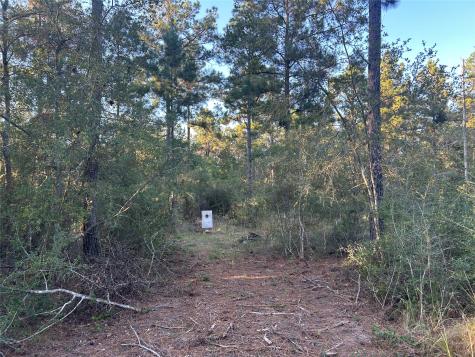 700 Pr 8160 Lovelady TX 75851