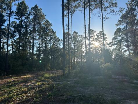 700 Pr 8160 Lovelady TX 75851