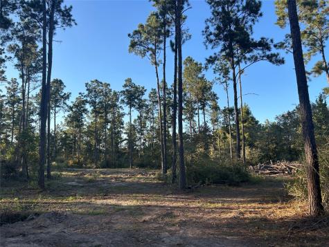 700 Pr 8160 Lovelady TX 75851