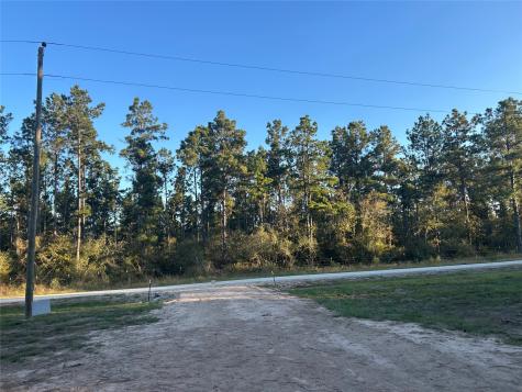 700 Pr 8160 Lovelady TX 75851