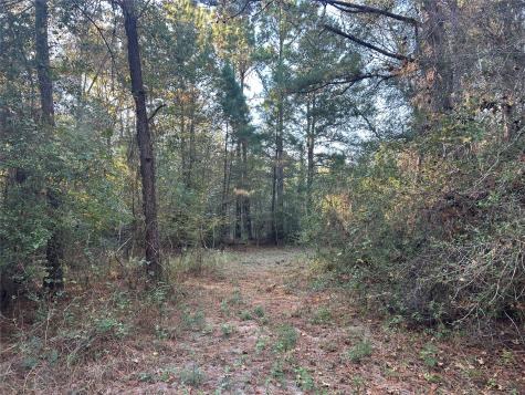 700 Pr 8160 Lovelady TX 75851