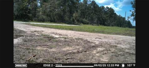 700 Pr 8160 Lovelady TX 75851