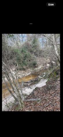 700 Pr 8160 Lovelady TX 75851