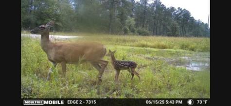 700 Pr 8160 Lovelady TX 75851