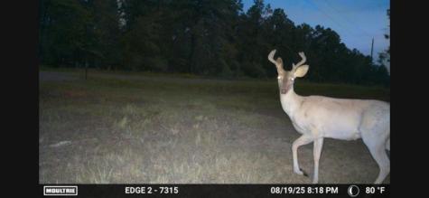 700 Pr 8160 Lovelady TX 75851