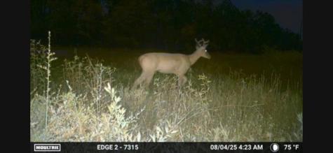 700 Pr 8160 Lovelady TX 75851