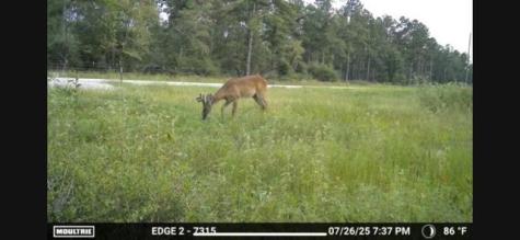 700 Pr 8160 Lovelady TX 75851
