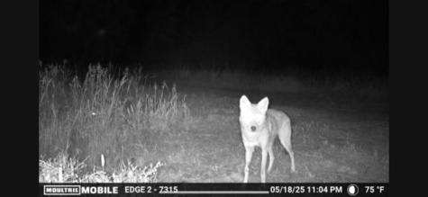 700 Pr 8160 Lovelady TX 75851