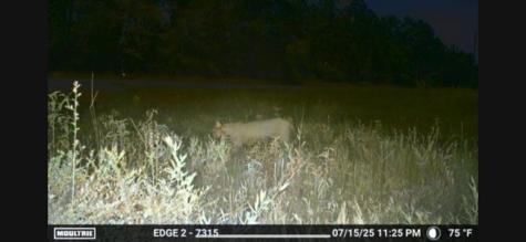 700 Pr 8160 Lovelady TX 75851