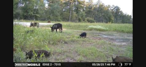 700 Pr 8160 Lovelady TX 75851