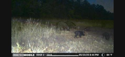 700 Pr 8160 Lovelady TX 75851