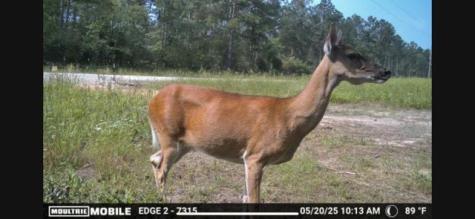 700 Pr 8160 Lovelady TX 75851