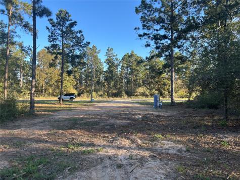 700 Pr 8160 Lovelady TX 75851