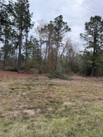 700 Pr 8160 Lovelady TX 75851