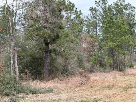 700 Pr 8160 Lovelady TX 75851