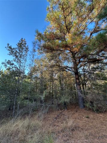700 Pr 8160 Lovelady TX 75851