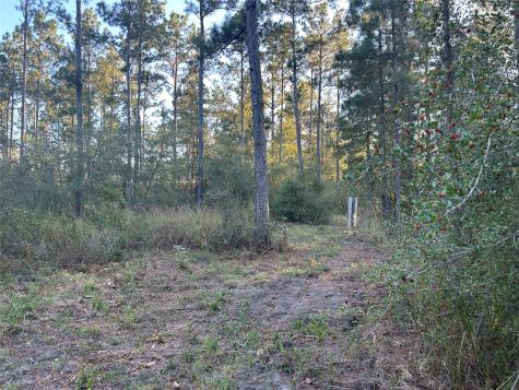 700 Pr 8160 Lovelady TX 75851