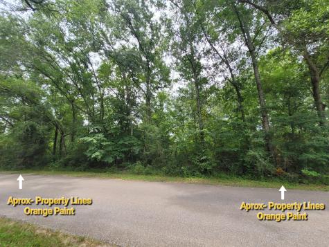 Lot 315 Callie Drive Hempstead TX 77445