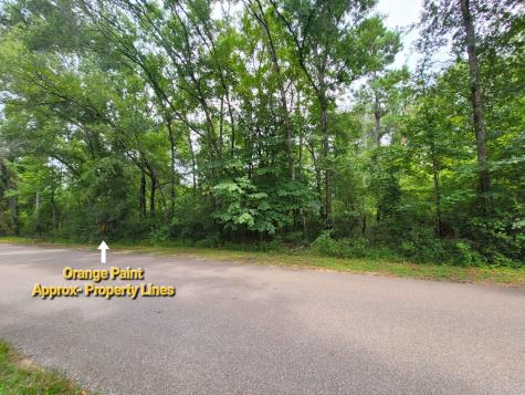 Lot 315 Callie Drive Hempstead TX 77445