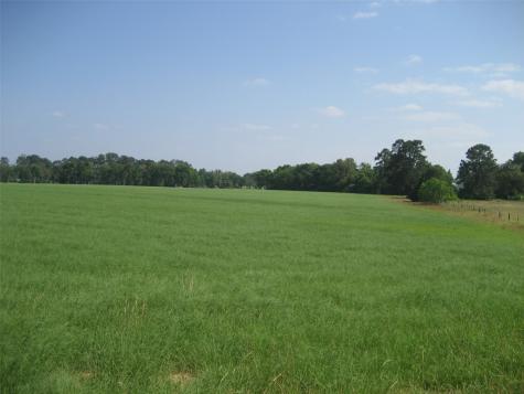 00 Cr 1890 N Grapeland TX 75844
