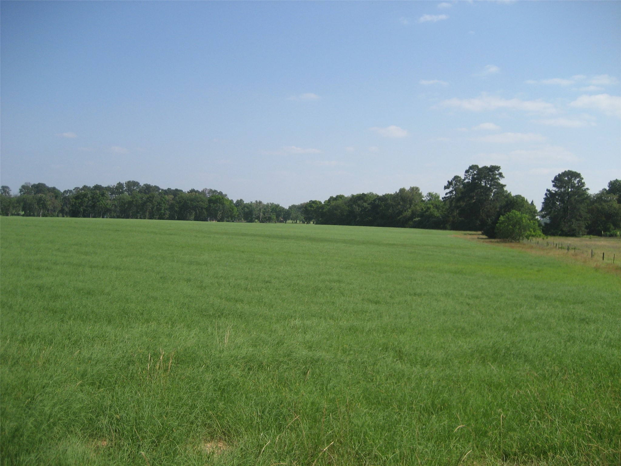 00 Cr 1890 N Grapeland TX 75844