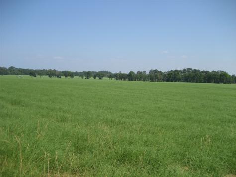 00 Cr 1890 N Grapeland TX 75844