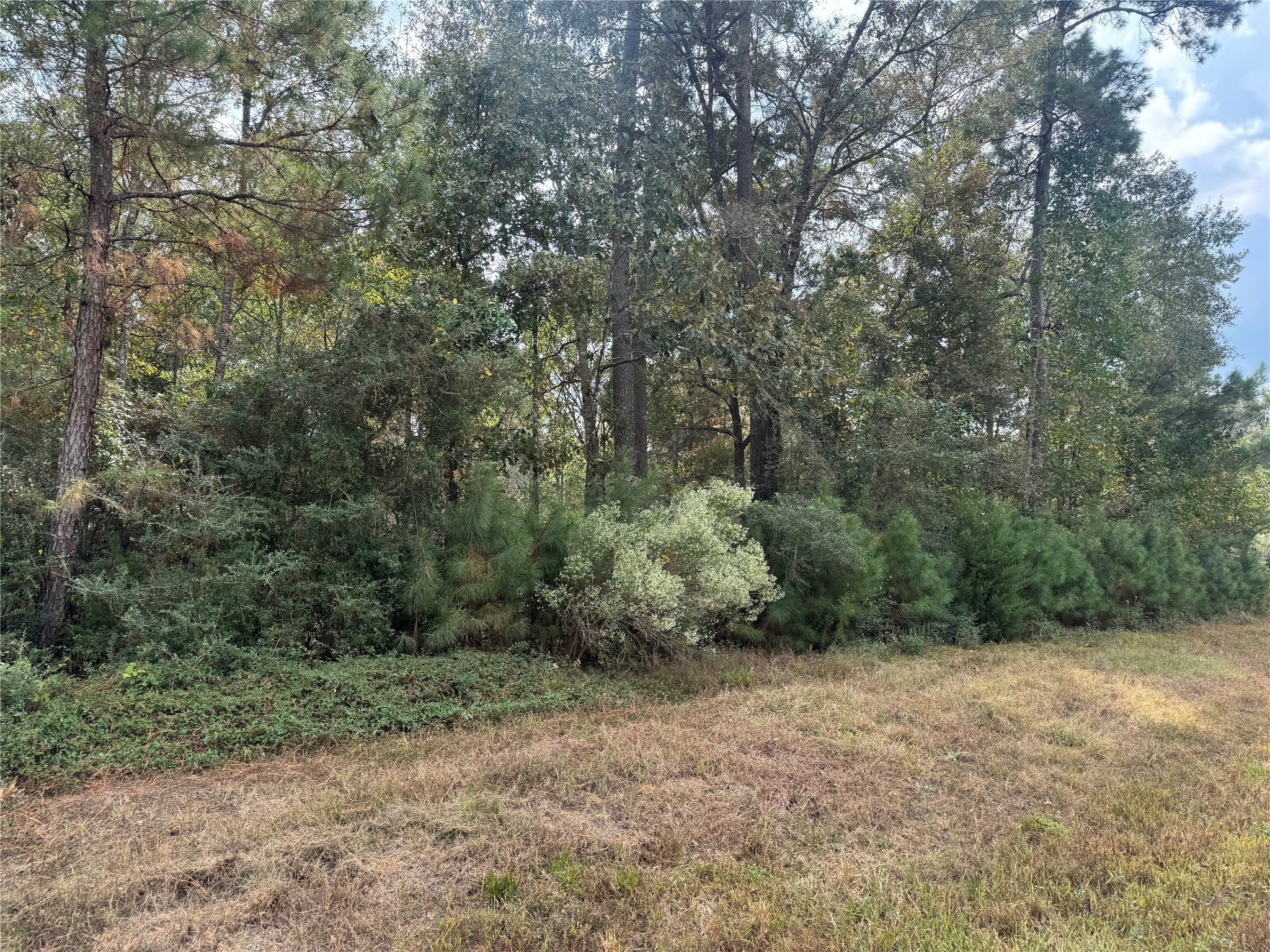 9-17-3B Winchester Road Huntsville TX 77340