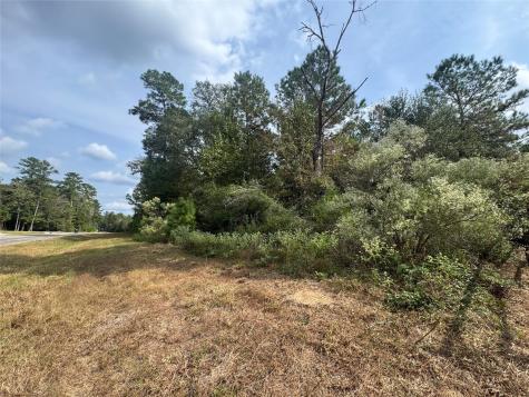 9-17-3B Winchester Road Huntsville TX 77340