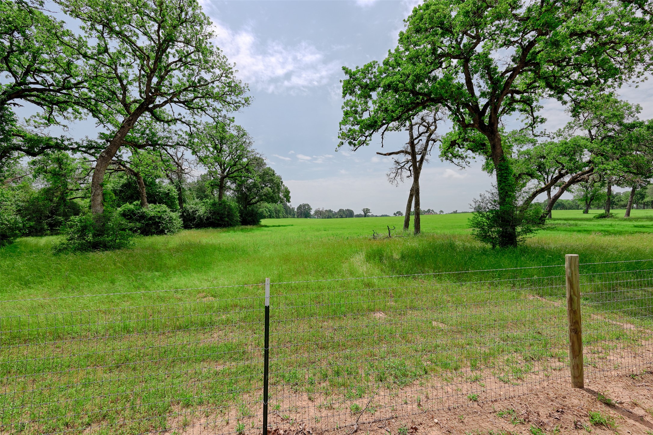 4412 County Road 306 Navasota TX 77868