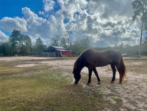 6626 Brown Road Saratoga TX 77585
