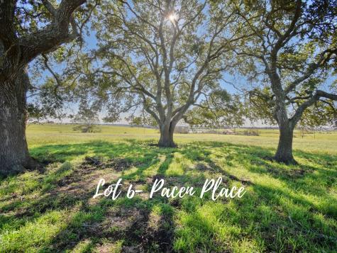 Tbd 6 Pacen Place Chappell Hill TX 77426
