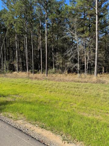 511 Queen Anne Way Huntsville TX 77340