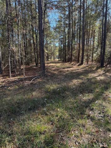 511 Queen Anne Way Huntsville TX 77340