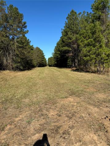 511 Queen Anne Way Huntsville TX 77340