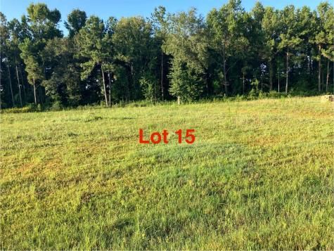 1041 Tarkington Timbers Drive Cleveland TX 77327