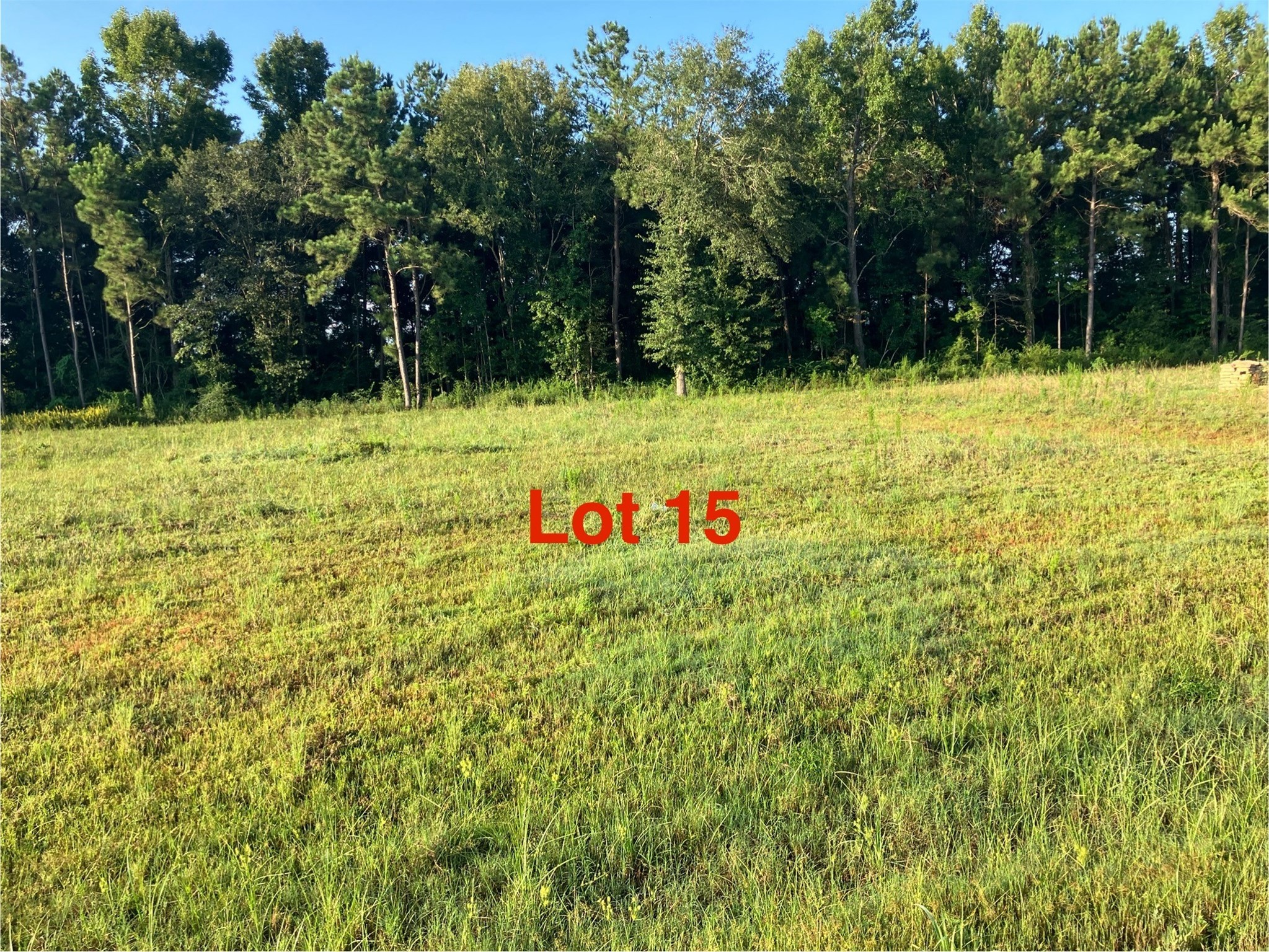 1041 Tarkington Timbers Drive Cleveland TX 77327