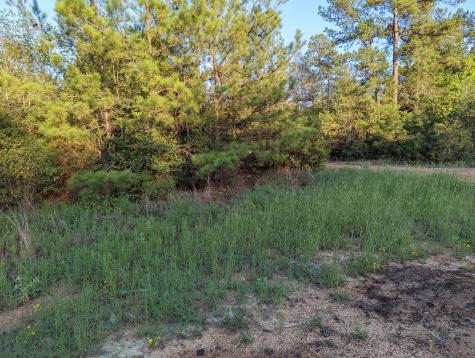 15807 Vine View Court Willis TX 77378