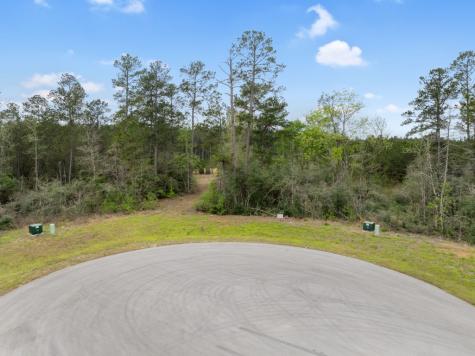 15807 Vine View Court Willis TX 77378