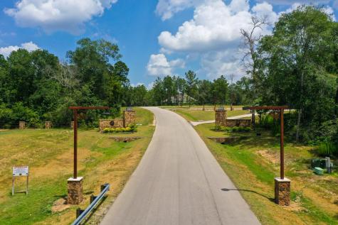 15807 Vine View Court Willis TX 77378