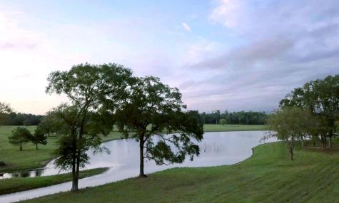 15807 Vine View Court Willis TX 77378